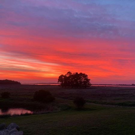 Pelican Point Sanctuary St Helens Exteriér fotografie