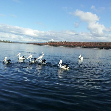 Pelican Point Sanctuary St Helens Exteriér fotografie