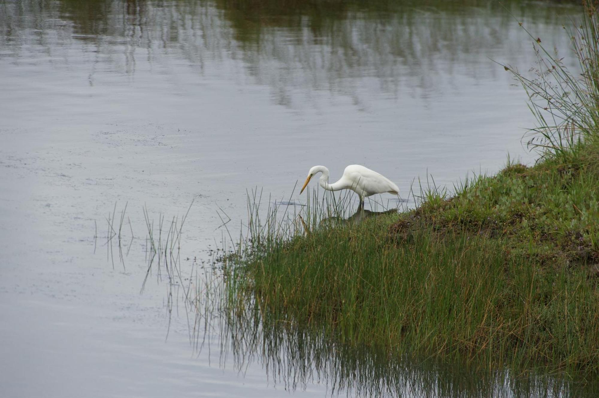 Pelican Point Sanctuary St Helens Exteriér fotografie