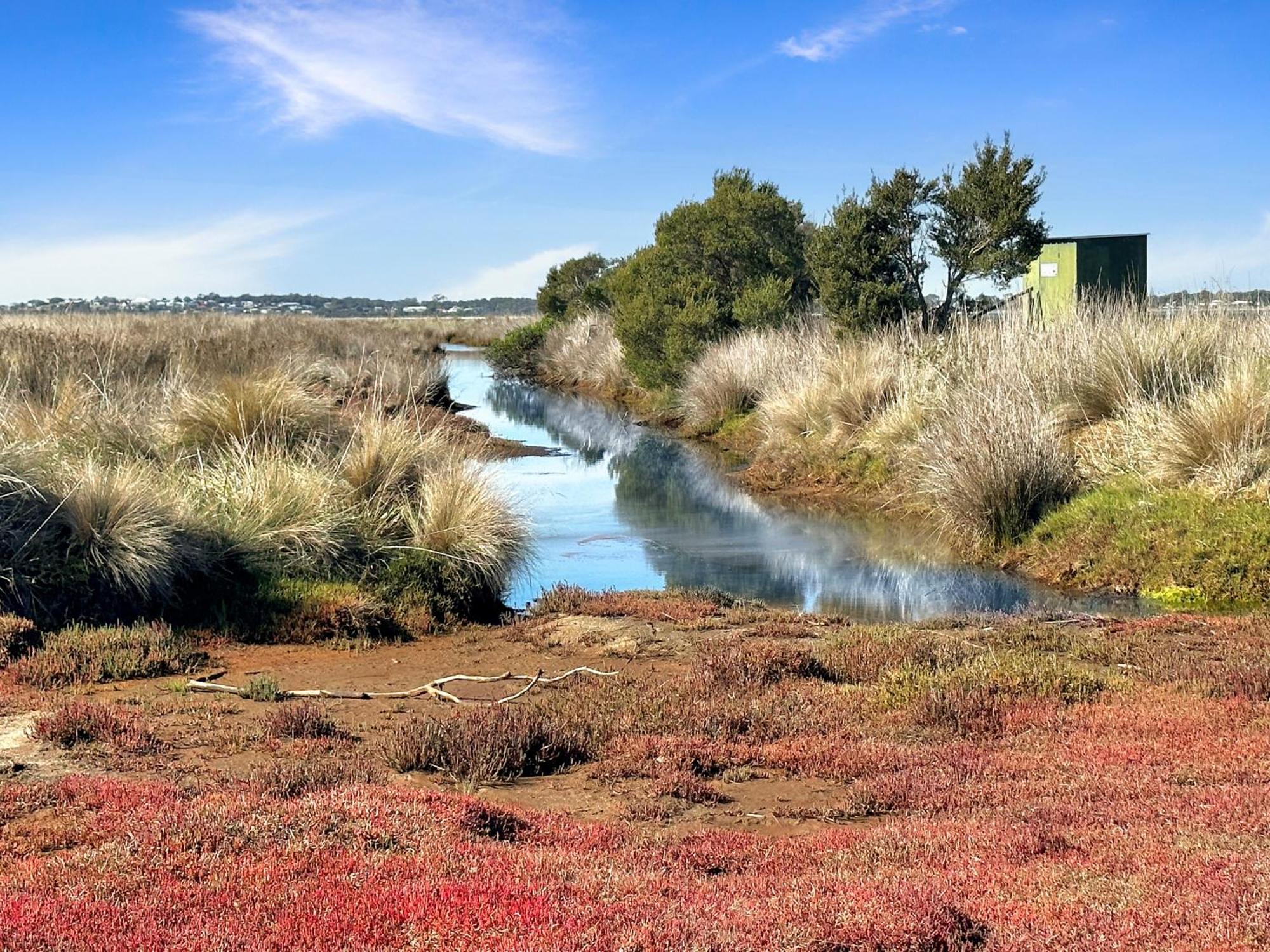 Pelican Point Sanctuary St Helens Exteriér fotografie